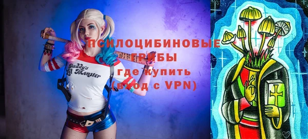 твердый Елабуга