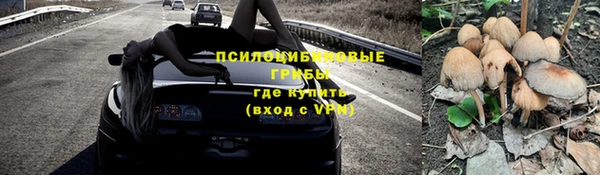 мдма Елизово