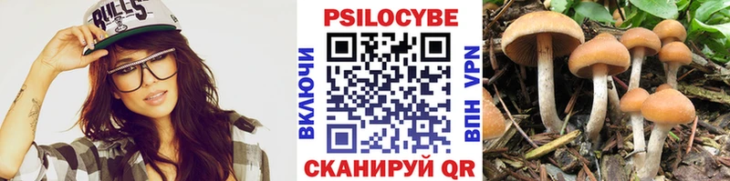 мега tor  Рошаль  Псилоцибиновые грибы Magic Shrooms 